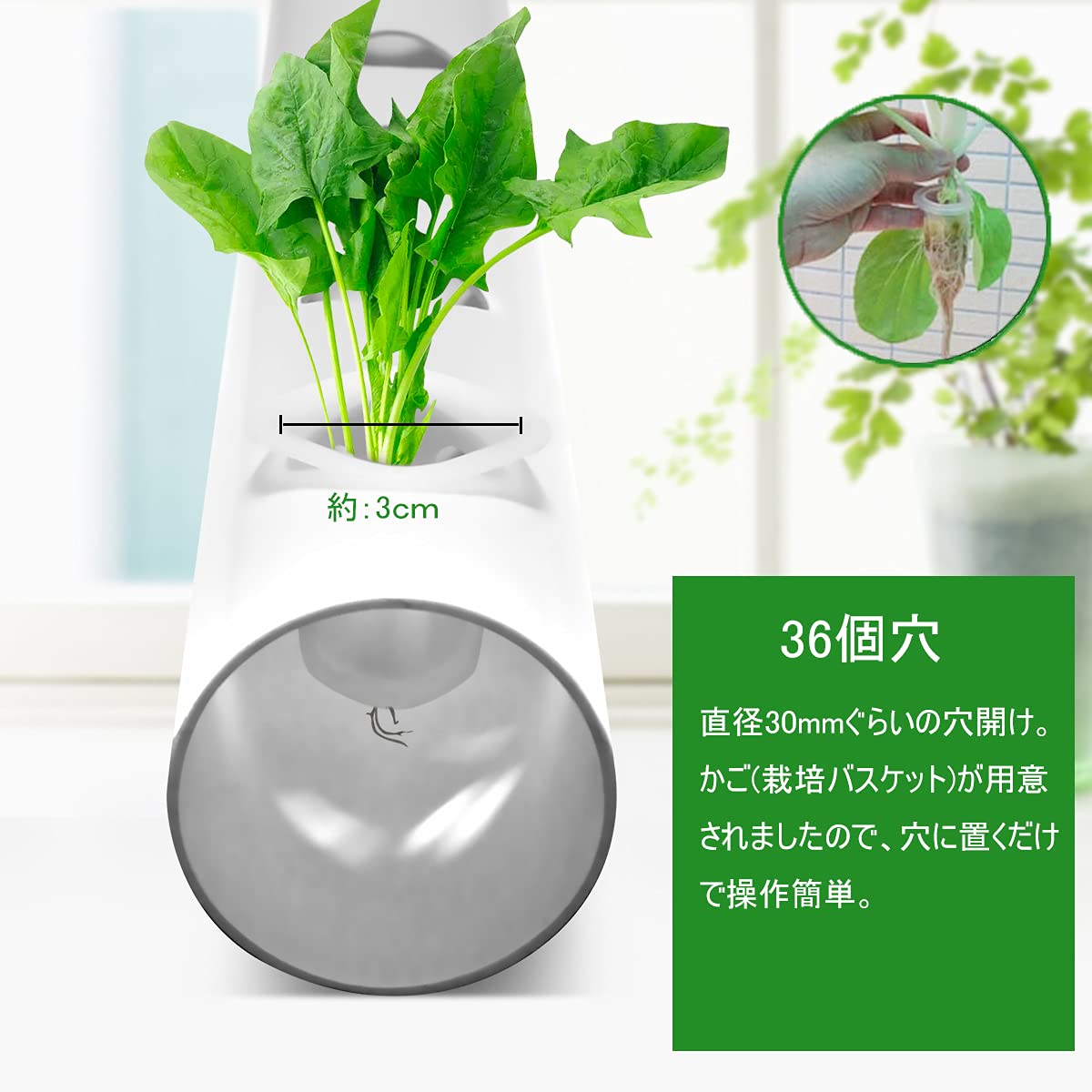 Amazon.co.jp: EC Grow 水耕栽培 水耕栽培キット 土を使わず 室内栽培
